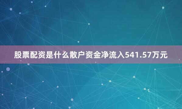 股票配资是什么散户资金净流入541.57万元