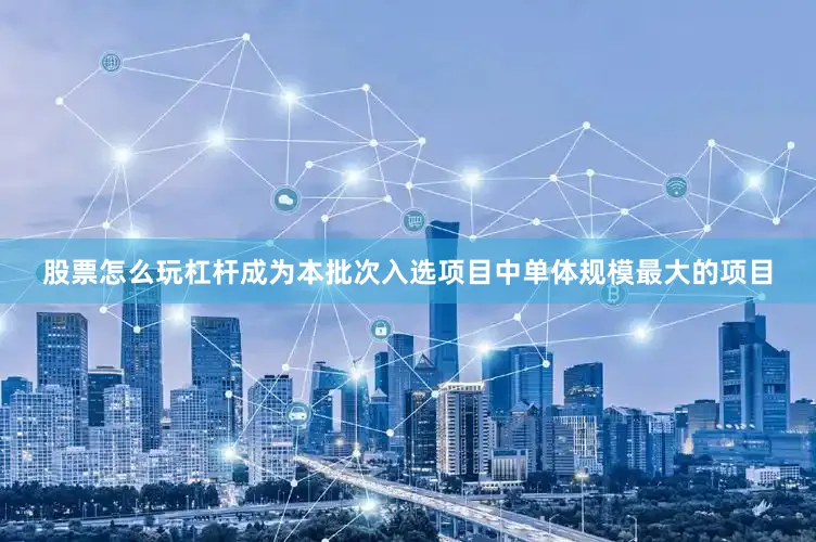股票怎么玩杠杆成为本批次入选项目中单体规模最大的项目
