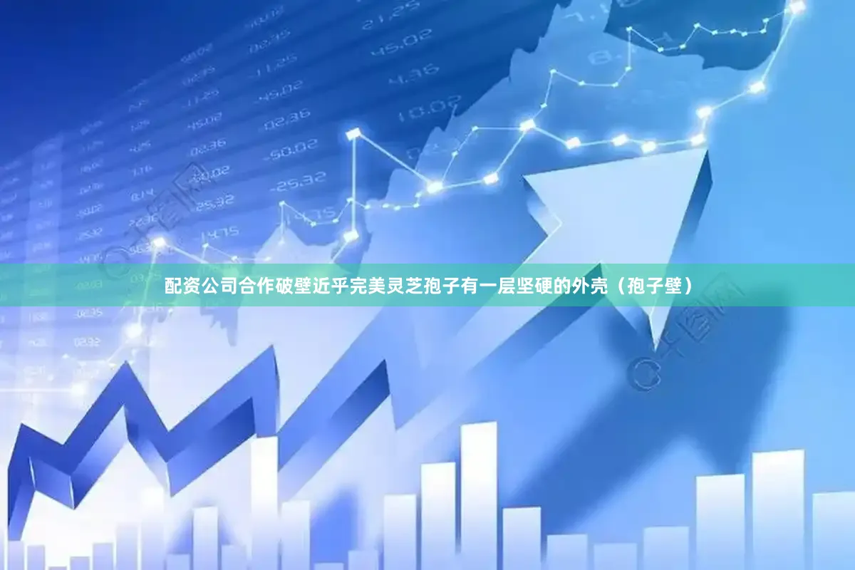 配资公司合作破壁近乎完美灵芝孢子有一层坚硬的外壳（孢子壁）